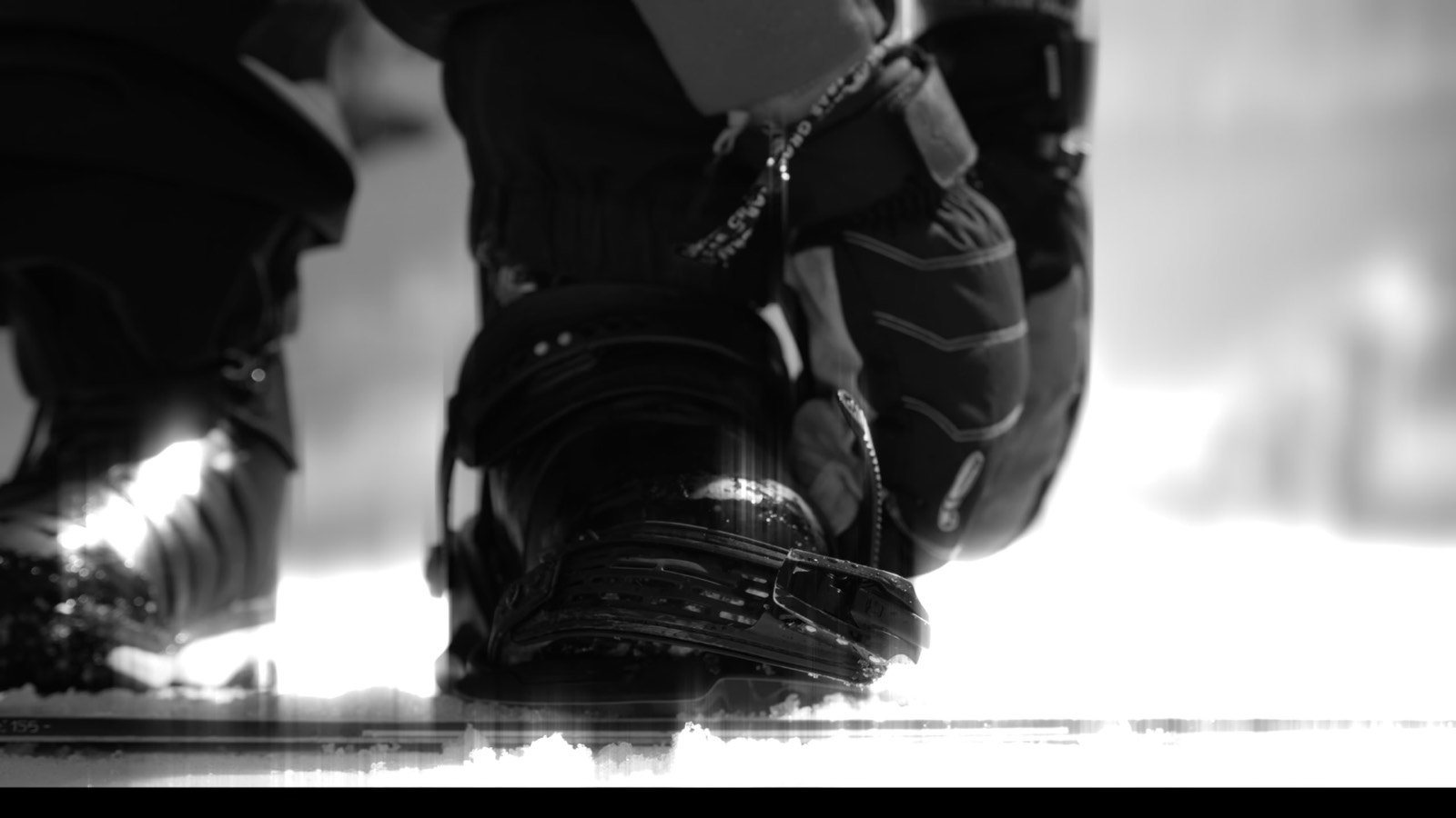 Salomon — still 2