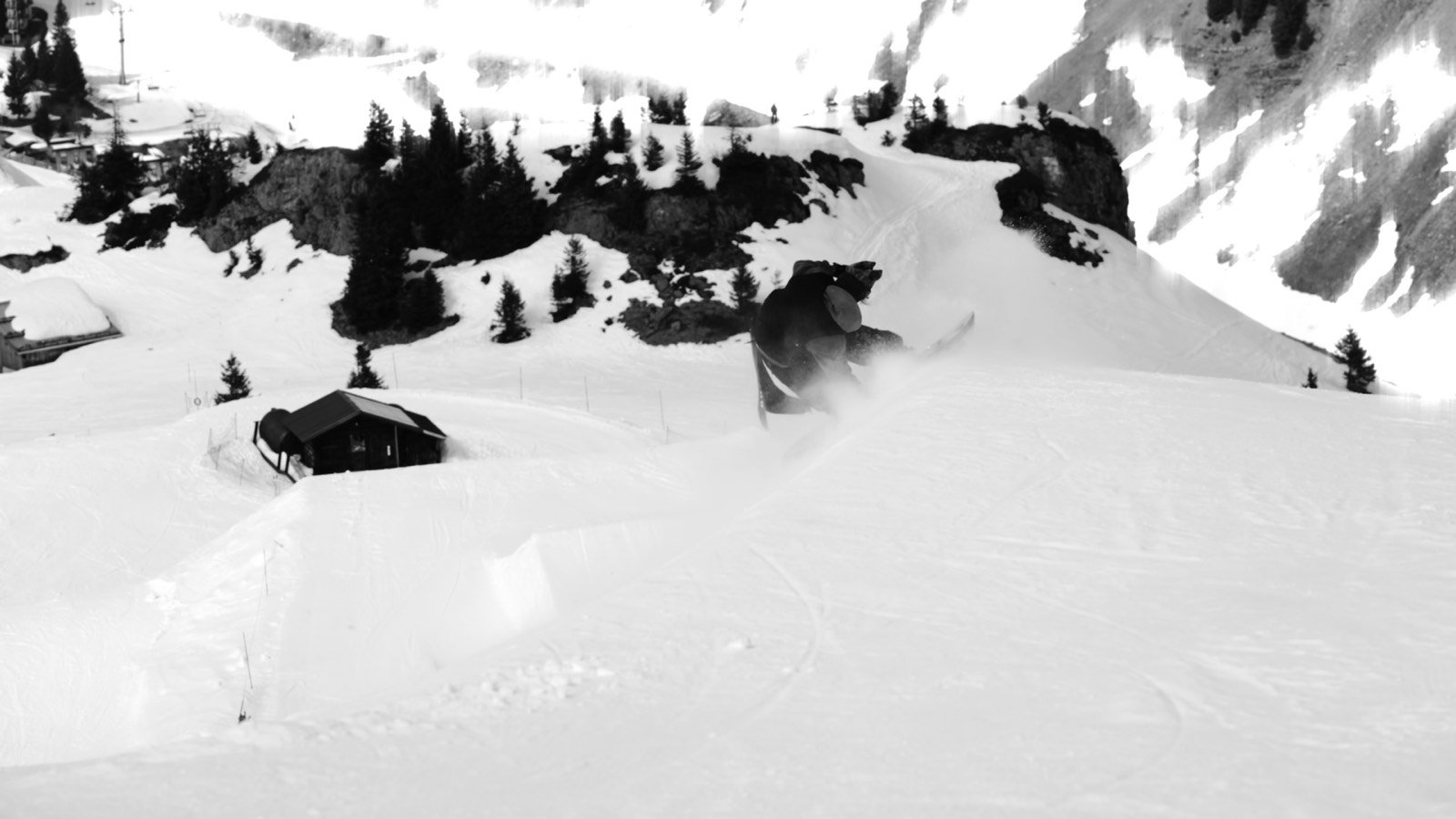 Salomon — still 8